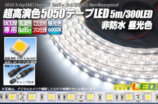 24VテープLED 60LED/m 非防水 昼光色 6000K 10m akibaLED ピカリ館