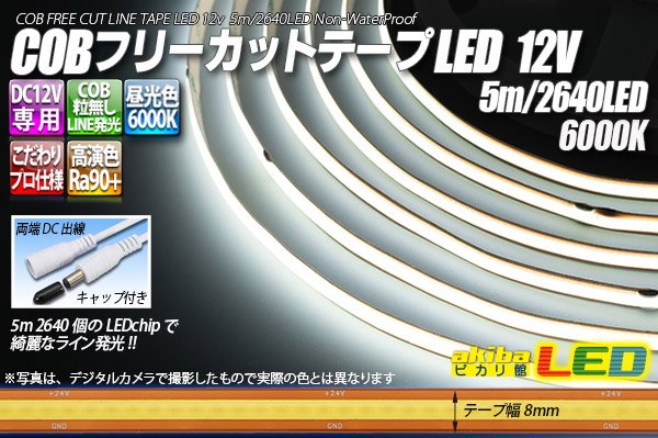 画像1: COBフリーカットテープLED 12V 6000K 2640LED/5m (1)